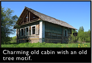 Charming old cabin with an old tree motif.